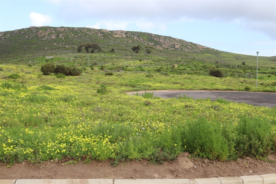 0 Bedroom Property for Sale in St Helena Views Western Cape